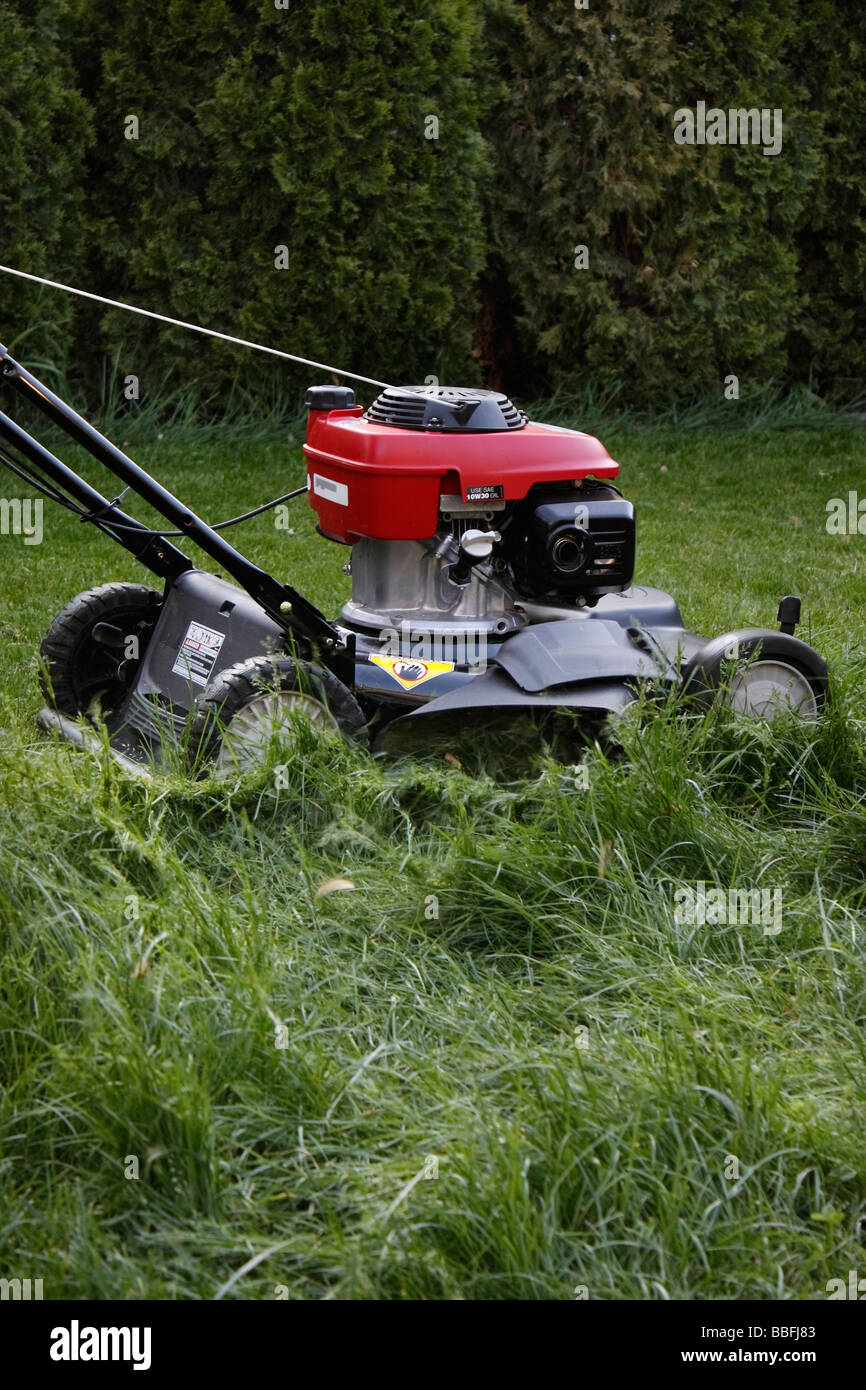 Un homme tond la tondeuse à gazon machine automotrice coupant l'herbe gros plan vertical aux États-Unis États-Unis haute résolution Banque D'Images