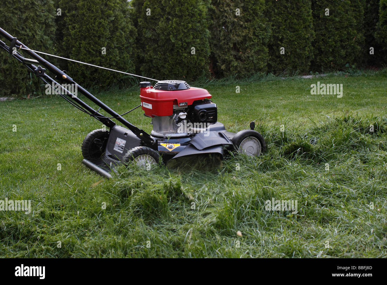 Un homme tond la tondeuse à gazon machine automotrice coupant l'herbe gros plan horizontal aux États-Unis États-Unis haute résolution Banque D'Images Un homme tond la tondeuse à gazon machine automotrice coupant l'herbe gros plan horizontal aux États-Unis États-Unis haute résolution Banque D'Images