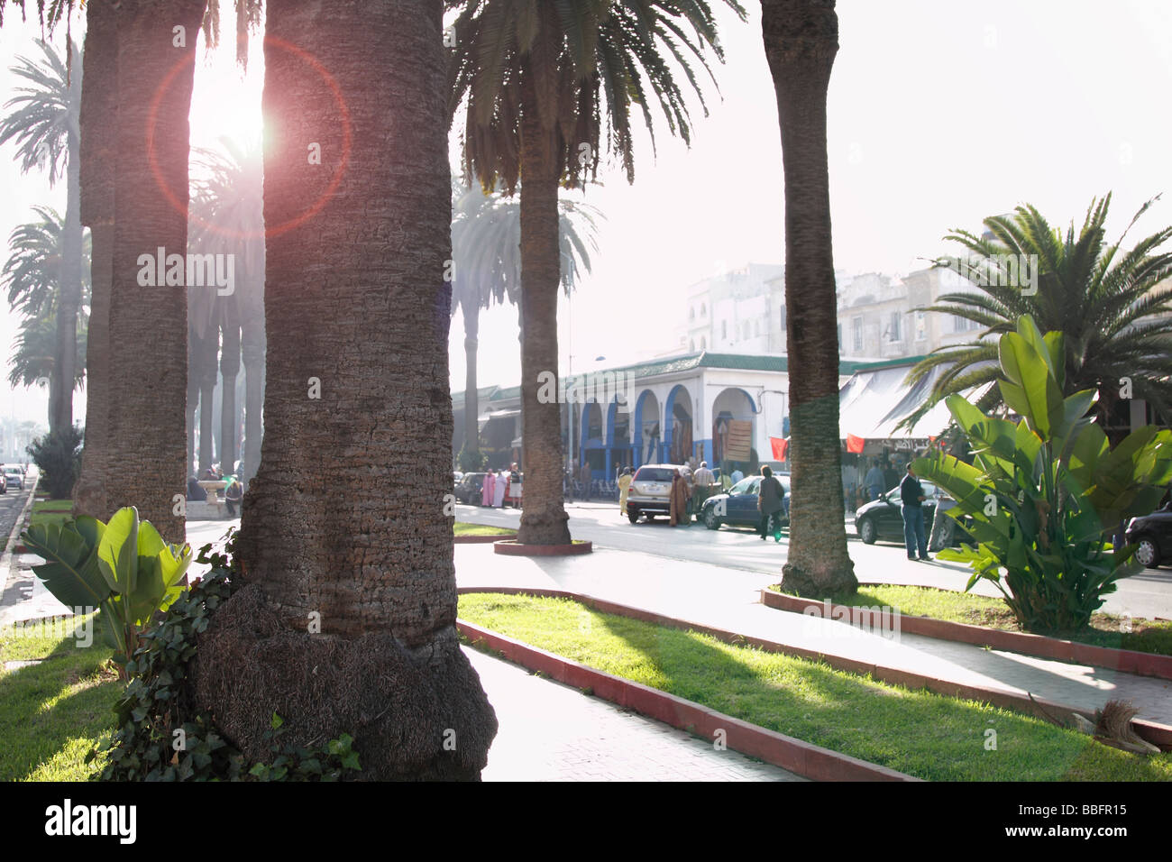 Afrique, Afrique du Nord, Maroc, Casablanca, Boulevard Houphouët Boigny Banque D'Images