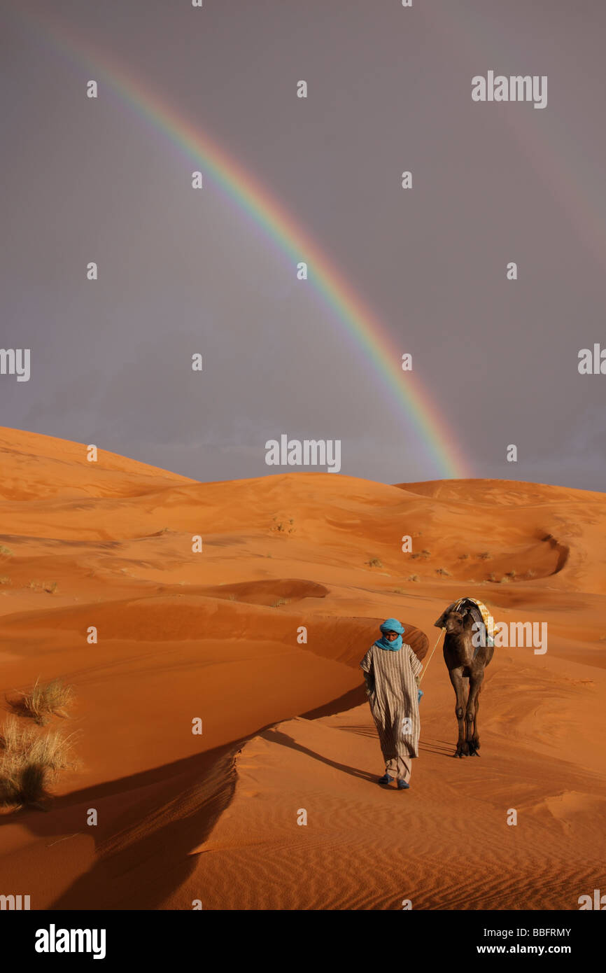 Afrique, Afrique du Nord, Maroc, Sahara, Merzouga, Erg Chebbi, Berbère Tribesman menant Camel, arc-en-ciel dans le désert Banque D'Images