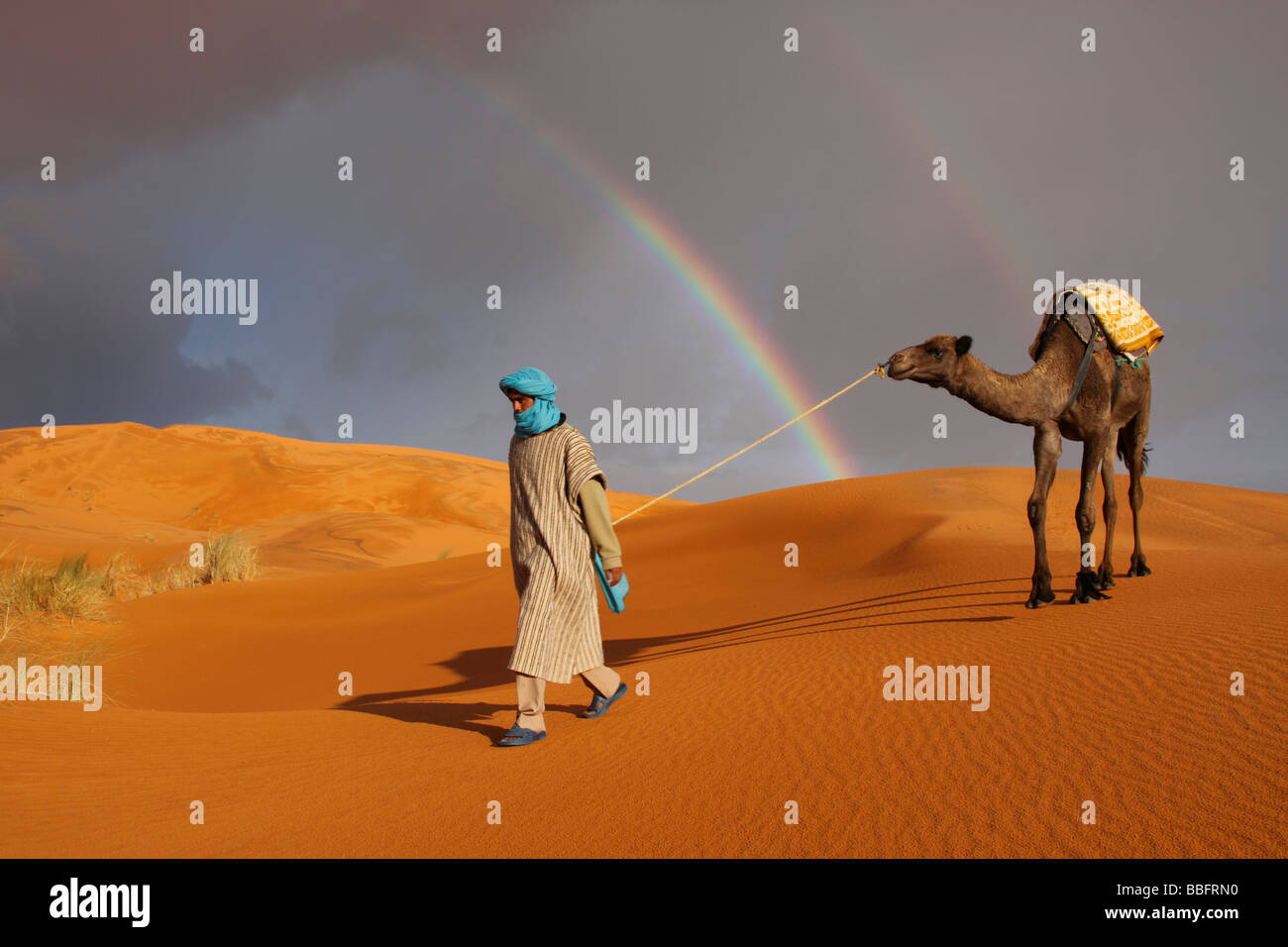 Afrique, Afrique du Nord, Maroc, Sahara, Merzouga, Erg Chebbi, Berbère Tribesman menant Camel, arc-en-ciel dans le désert Banque D'Images