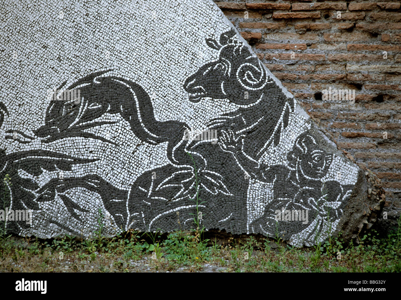 the-baths-of-caracalla-rome-banque-d-image-et-photos-alamy