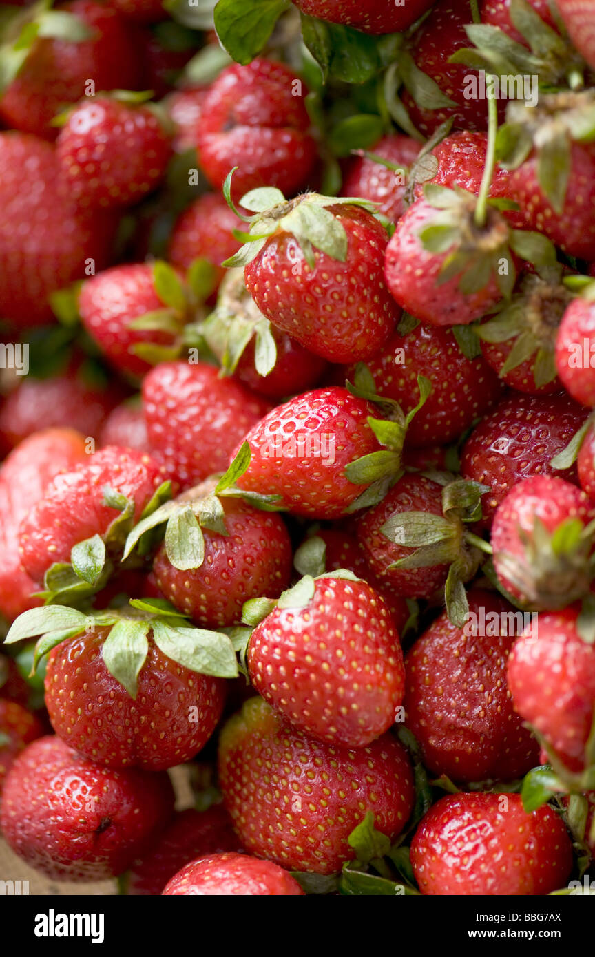 Matières premières alimentaires et de fraises fraîches close up Banque D'Images