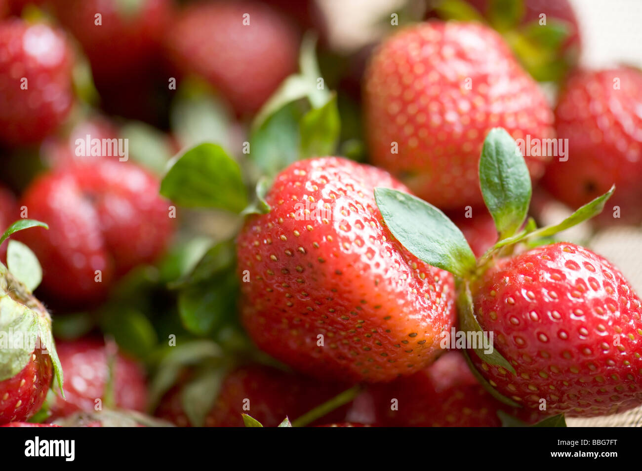 Matières premières alimentaires et de fraises fraîches close up Banque D'Images