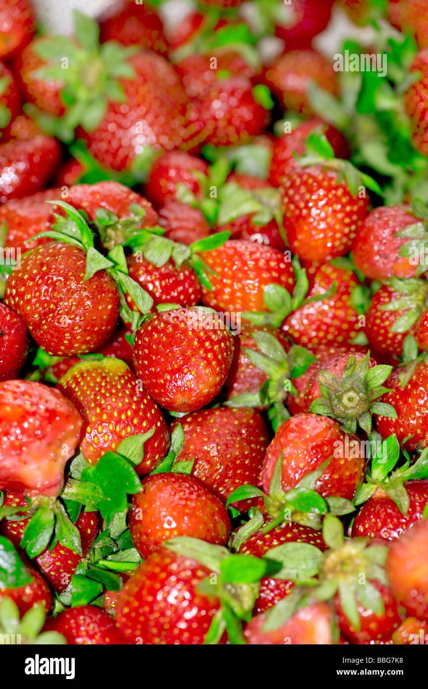 Matières premières alimentaires et de fraises fraîches close up Banque D'Images