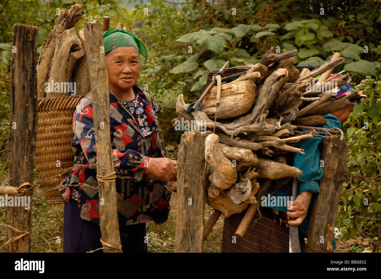 Les femmes laotiennes transportant du bois sur leurs épaules dans le village de minorités ethniques de Vang Vieng, Laos. Banque D'Images