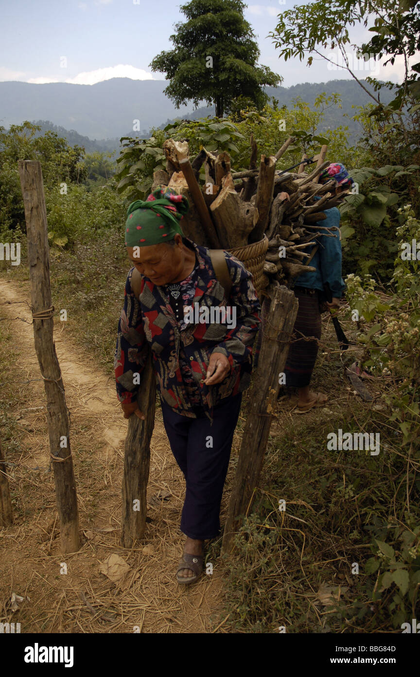 Femme laotienne carrying lumber dans la minorité ethnique village de Vang Vieng, Laos Banque D'Images