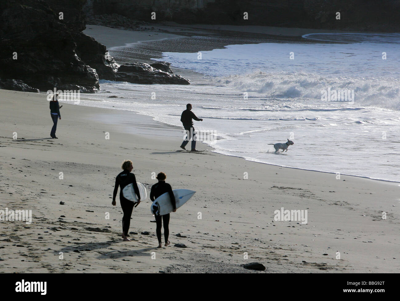 Les surfeurs et couple en train de marcher leur chien, Portreath, Cornwall, England, UK Banque D'Images