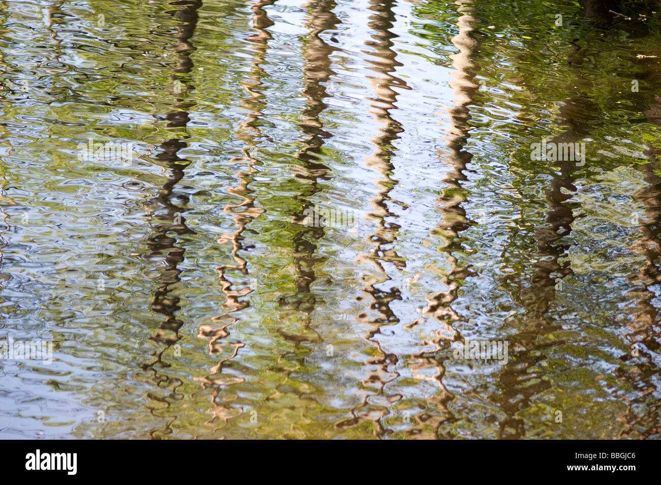 Réflexions d'arbres dans une rivière, la Suède Banque D'Images