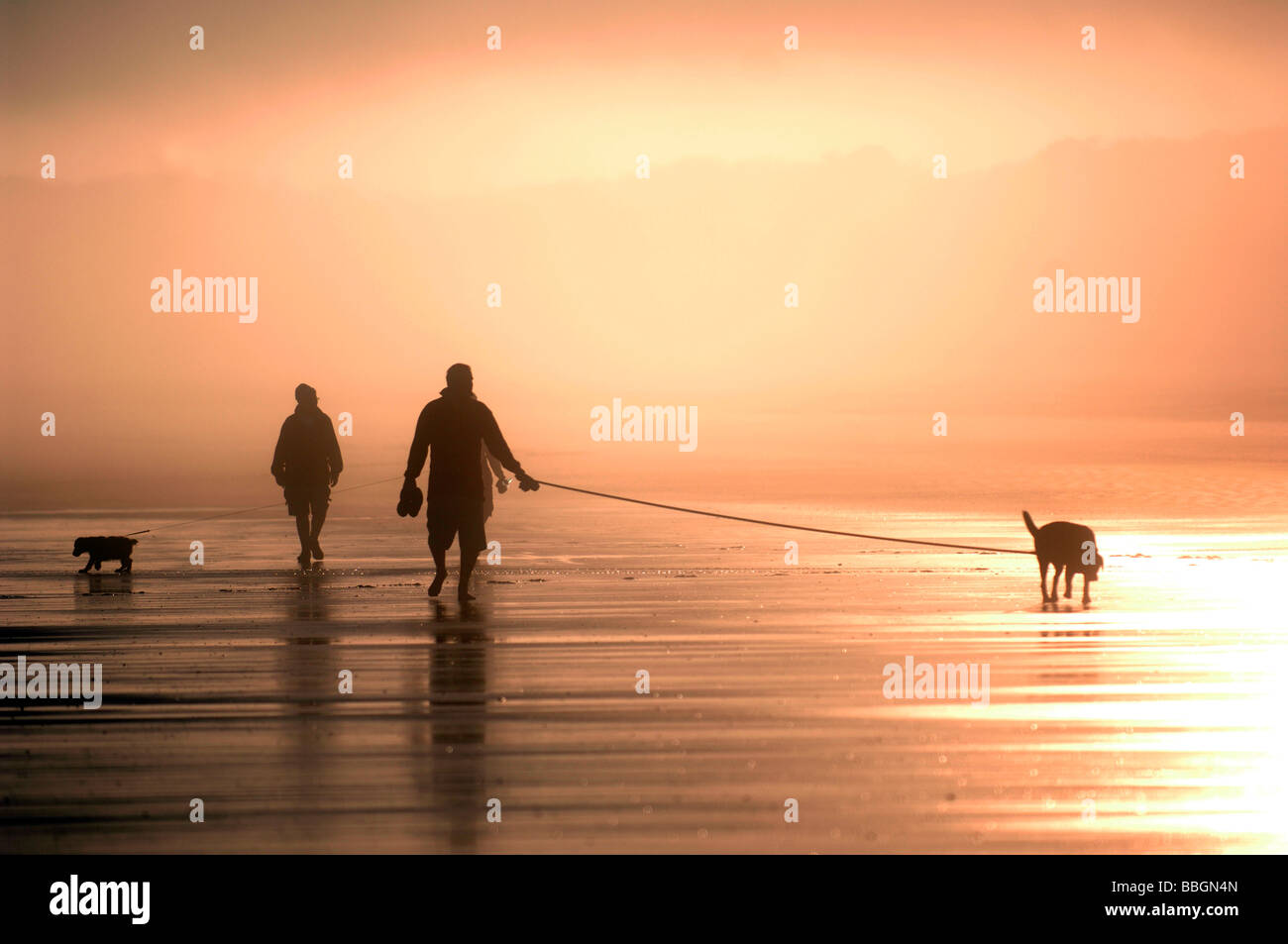 Deux personnes marcher sur une plage misty avec leurs chiens au lever du soleil près de Broome , l'ouest de l'Australie. Banque D'Images