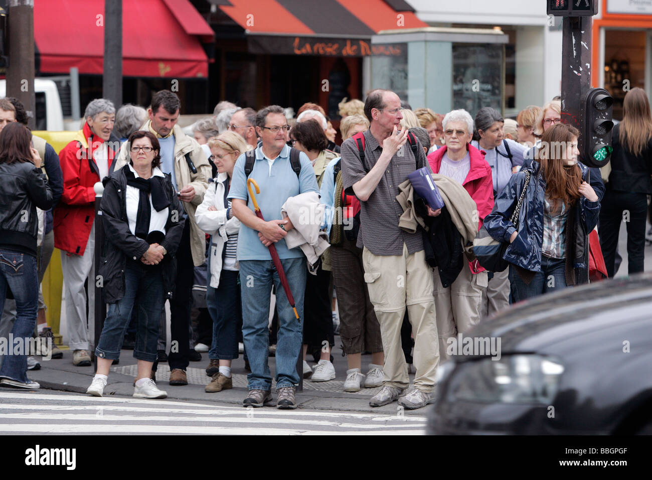 Les corneilles attend pour traverser la rue, Paris, France Banque D'Images