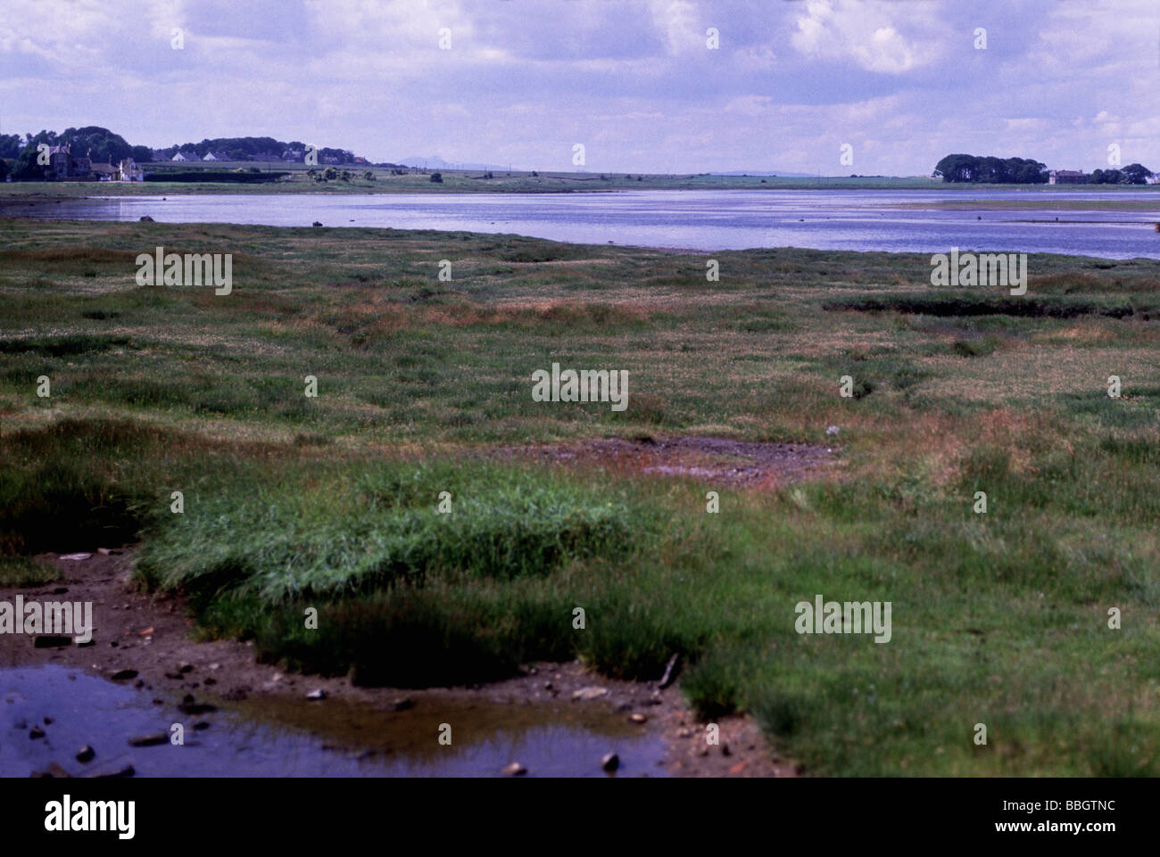 L'Écosse;Lothian Région;Aberlady Bay Nature Reserve, le Firth of Forth. Banque D'Images