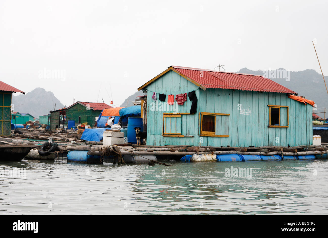 Maison de village de pêcheurs flottant, 'Cat Ba' Island, [la baie d'Halong, Vietnam], [Asie du Sud-Est] Banque D'Images