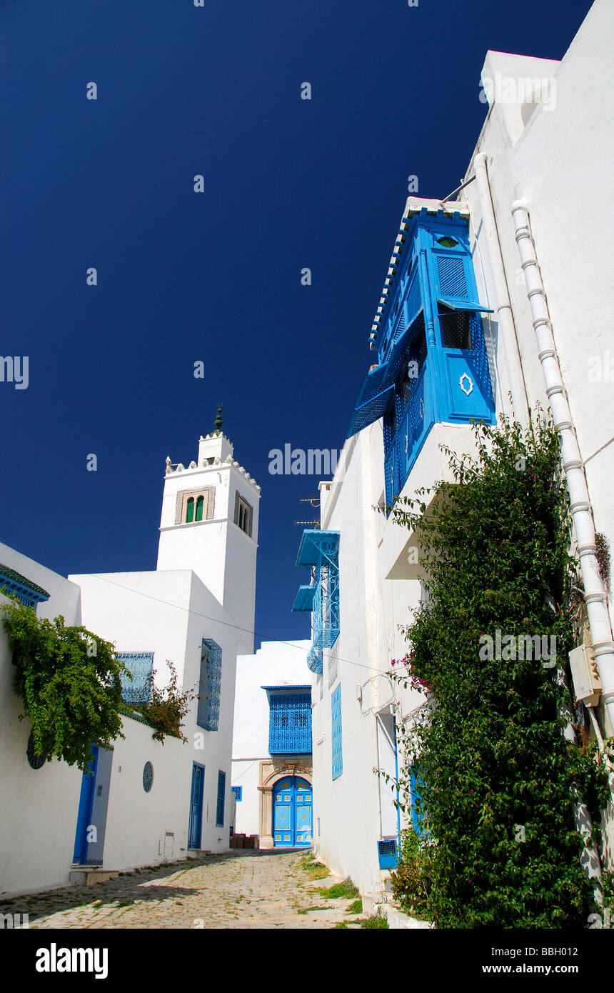 TUNIS, TUNISIE. Bâtiments blanchis à la chaux, etc, dans le village de Sidi Bou Said à l'extérieur de Tunis. 2009 Banque D'Images