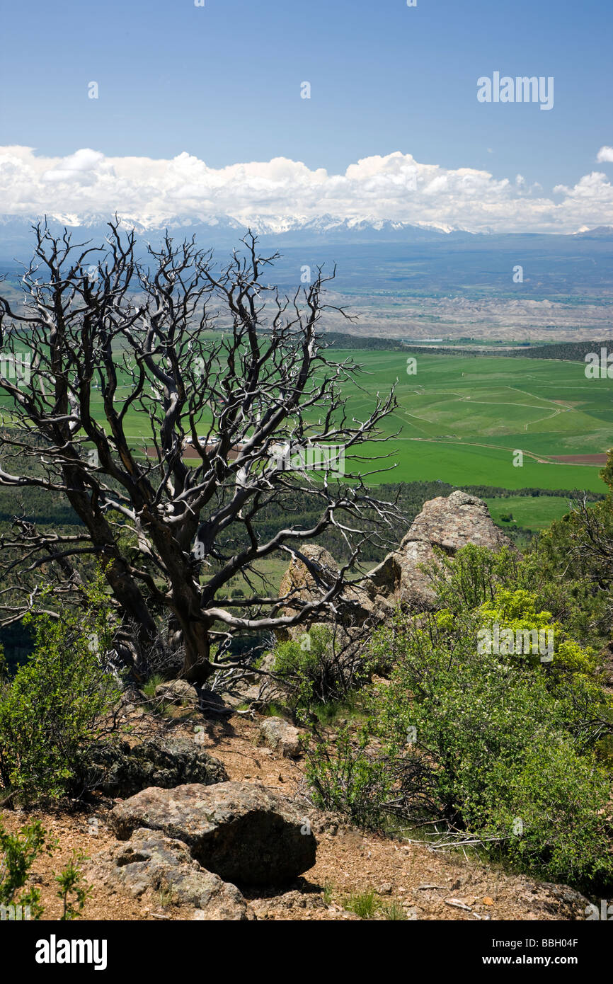 Vue sud de la point vers la Warner donnent sur la Gorge de Gunnison National Conservation Area et montagnes de San Juan Banque D'Images