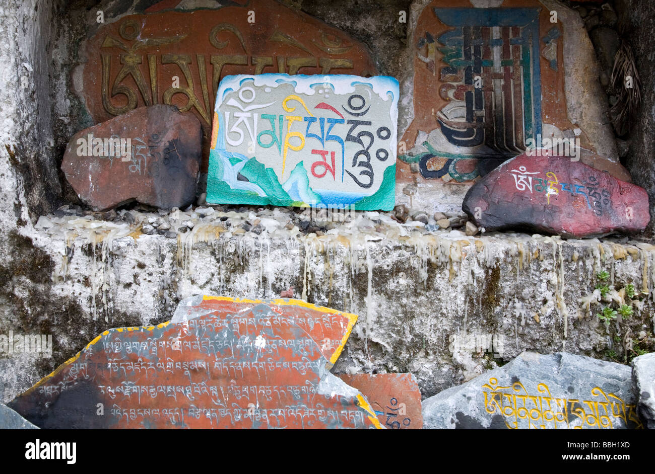 La prière des pierres. McLeod Ganj. Dharamsala. L'Himachal Pradesh. L'Inde Banque D'Images