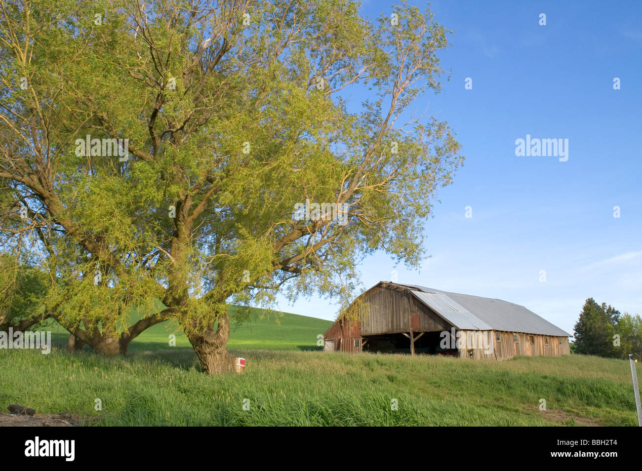 Ferme et de la prairie dans la région de Palouse le long de la frontière de Washington et de l'Idaho Banque D'Images