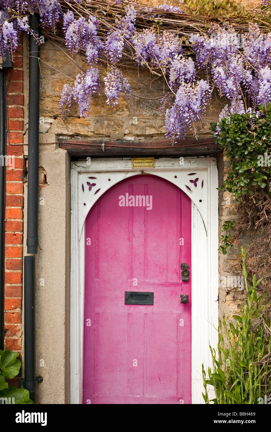 Porte rose et wisteria dans Buckingham UK Banque D'Images