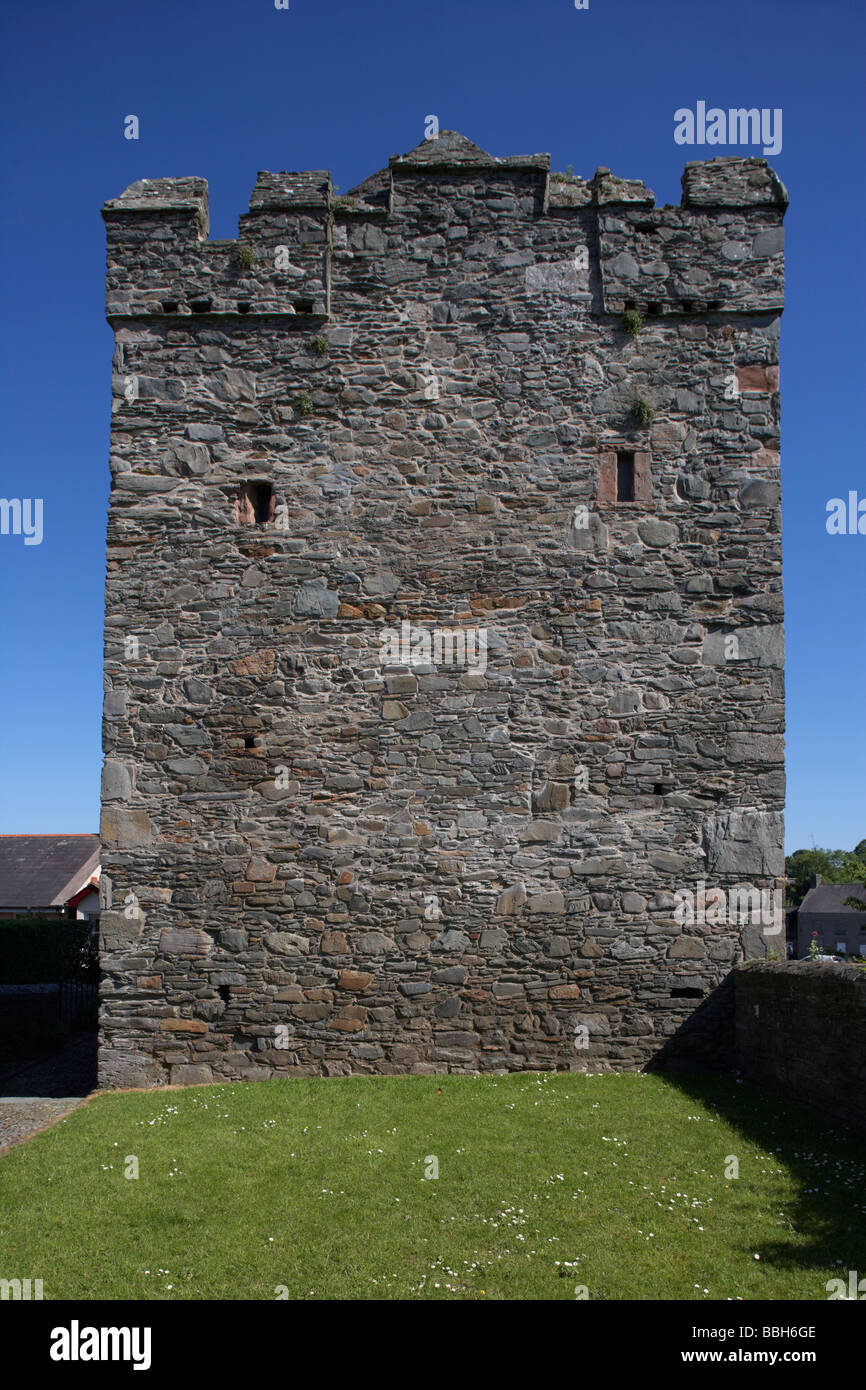 Strangford castle 15e tour du 16ème siècle strangford comté de Down en Irlande du Nord Banque D'Images