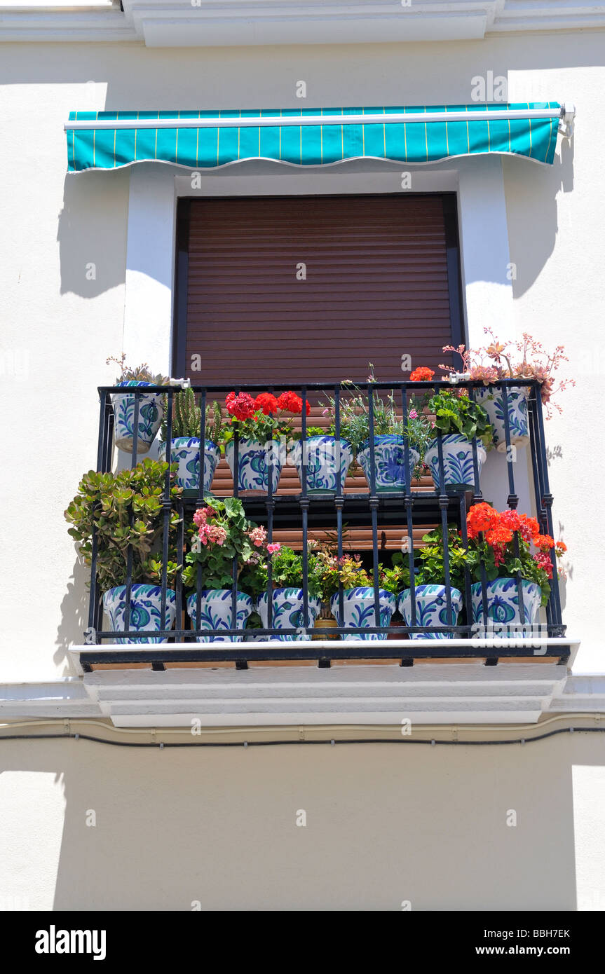 Fenêtre avec volet roulant de plantes en pots et de balcon en métal Andalousie Espagne Banque D'Images