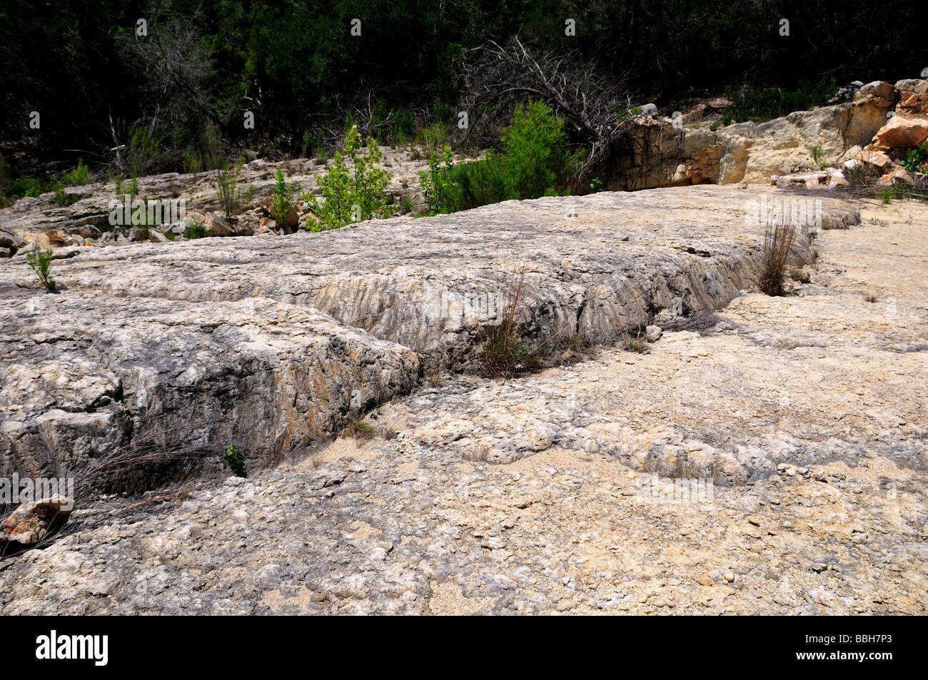 Les surfaces calcaires en défaut dans le Texas Hill Country, USA. Banque D'Images