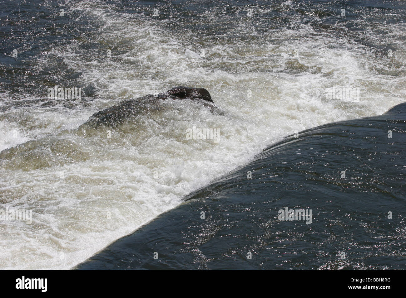 James River rapids , automne , Virginia Richmond en ligne Banque D'Images
