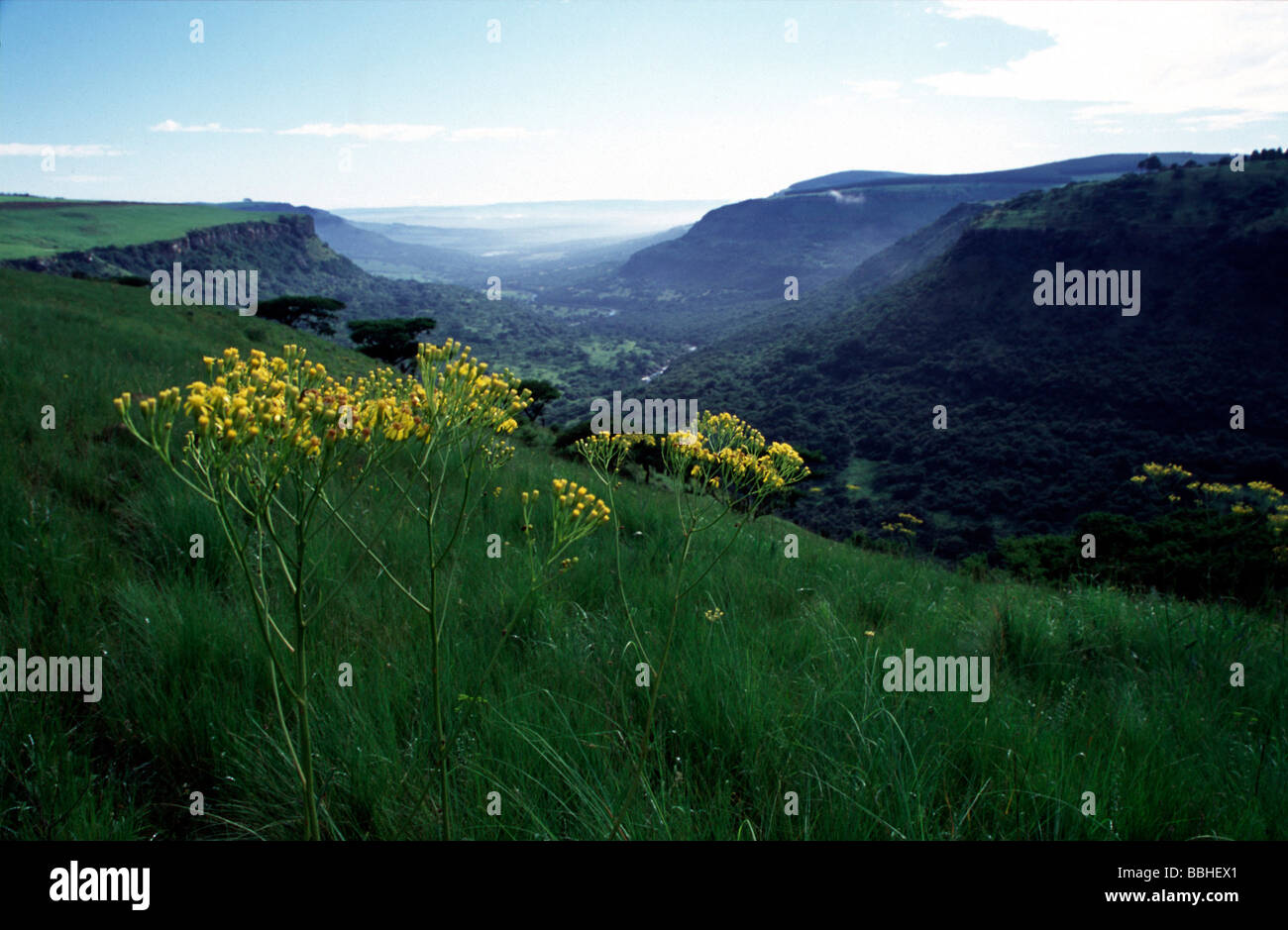 Vallée Umgeni près de Howick KwaZulu Natal Afrique du Sud Banque D'Images