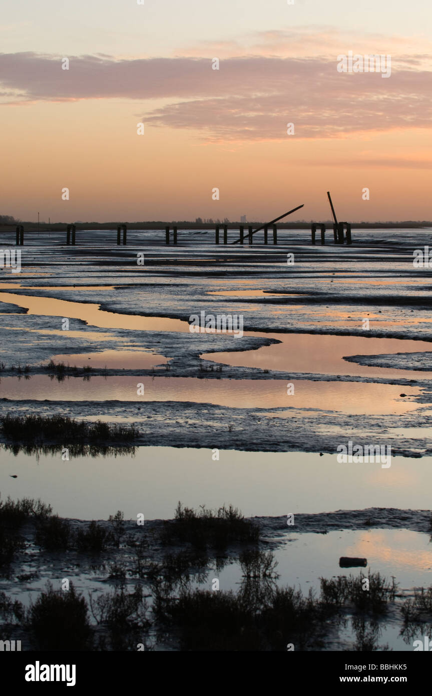 Les vasières dans le lavage à l'hiver de Snettisham RSPB Réserve Norfolk Banque D'Images