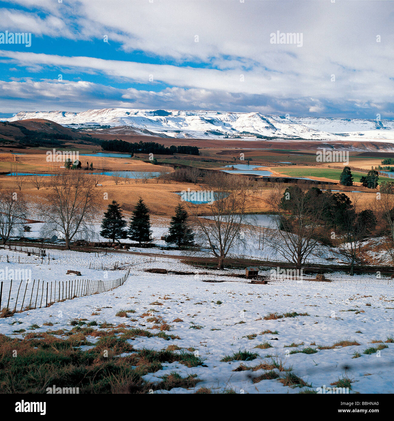 L'HIVER DANS LES CONTREFORTS DE LA SOUTHERN DRAKENSBERG PRÈS DE UNDERBERG Banque D'Images