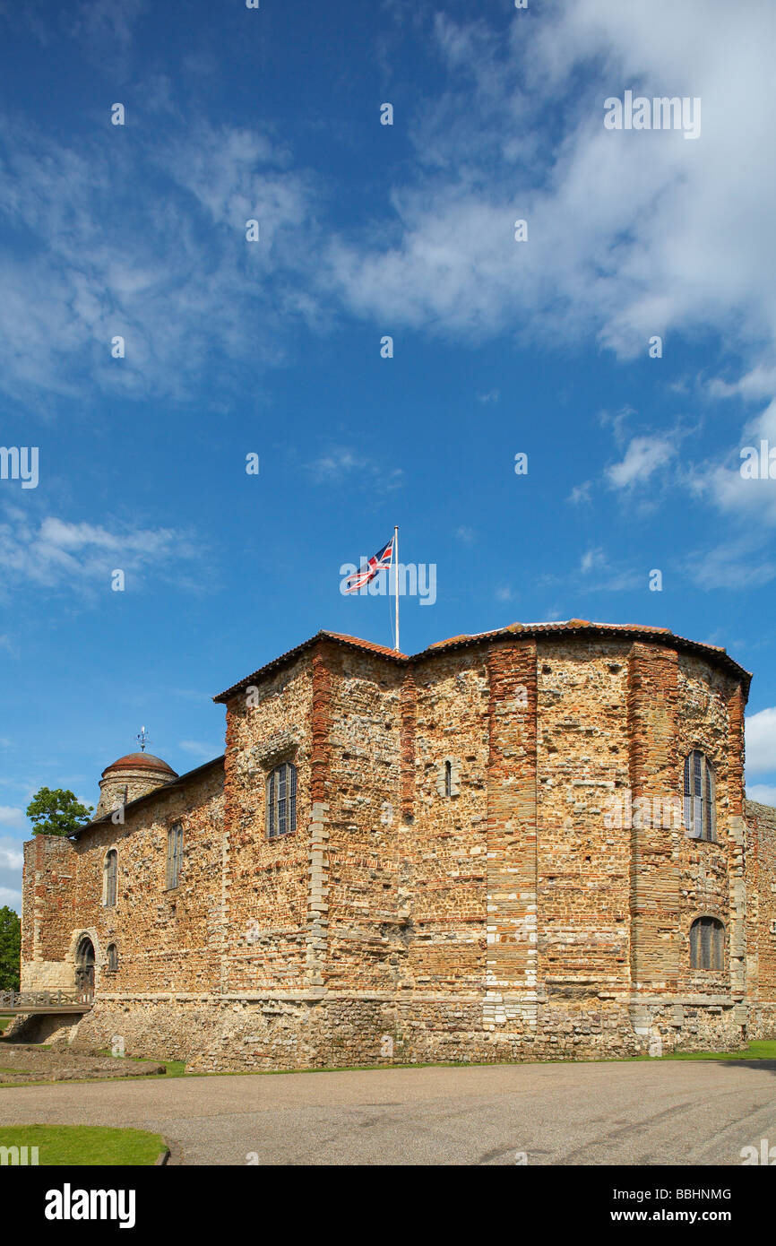 Grande-bretagne Angleterre Essex Colchester Castle Museum Banque D'Images