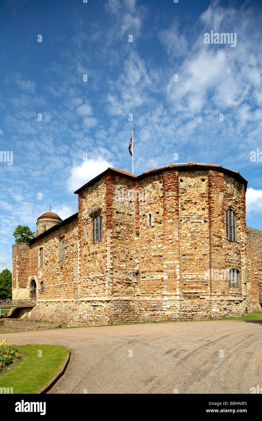 Grande-bretagne Angleterre Essex Colchester Castle Museum Banque D'Images