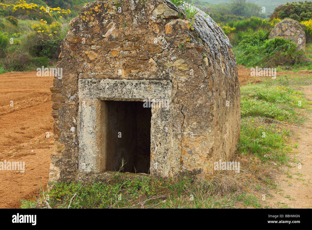 Vieille cabane en pierre dans un vignoble Minervois Languedoc-Rousillon France Banque D'Images