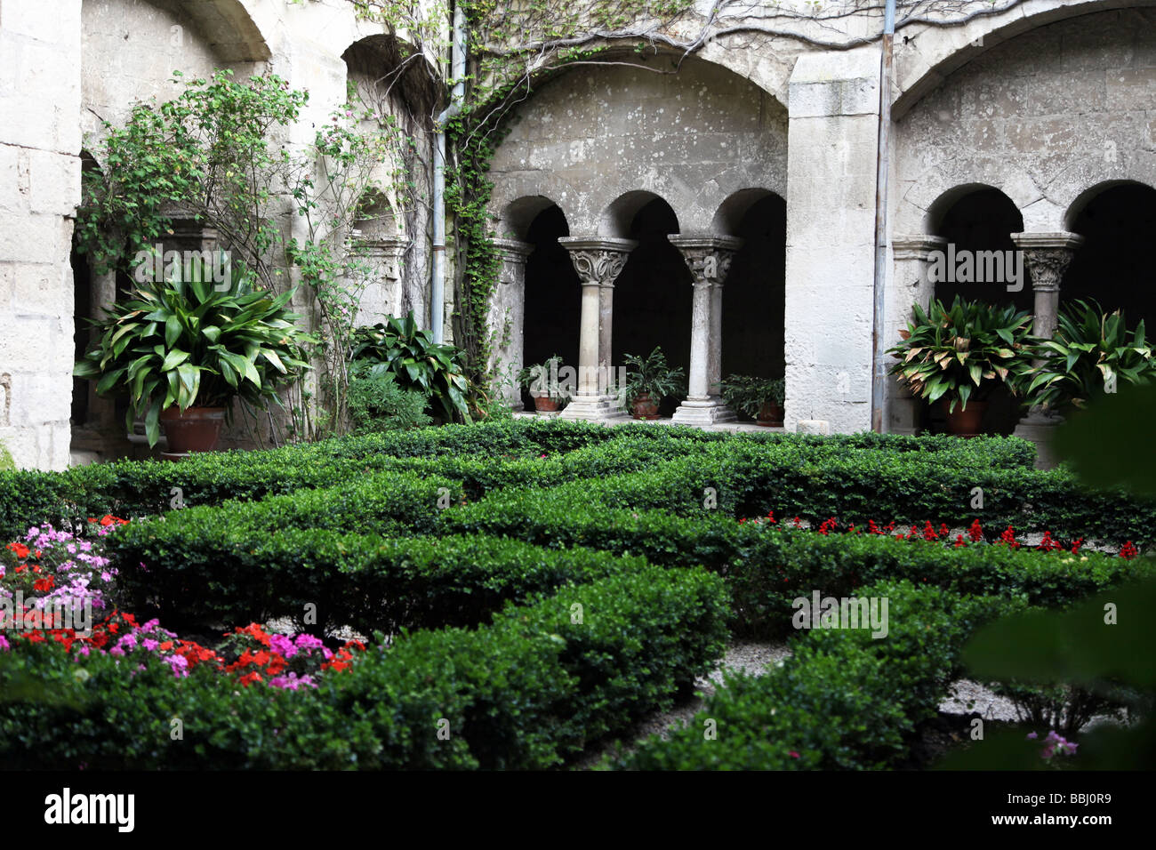 Cloître de San Paul de Mausole asile psychiatrique où Van Gogh a passé du temps 1889 Banque D'Images