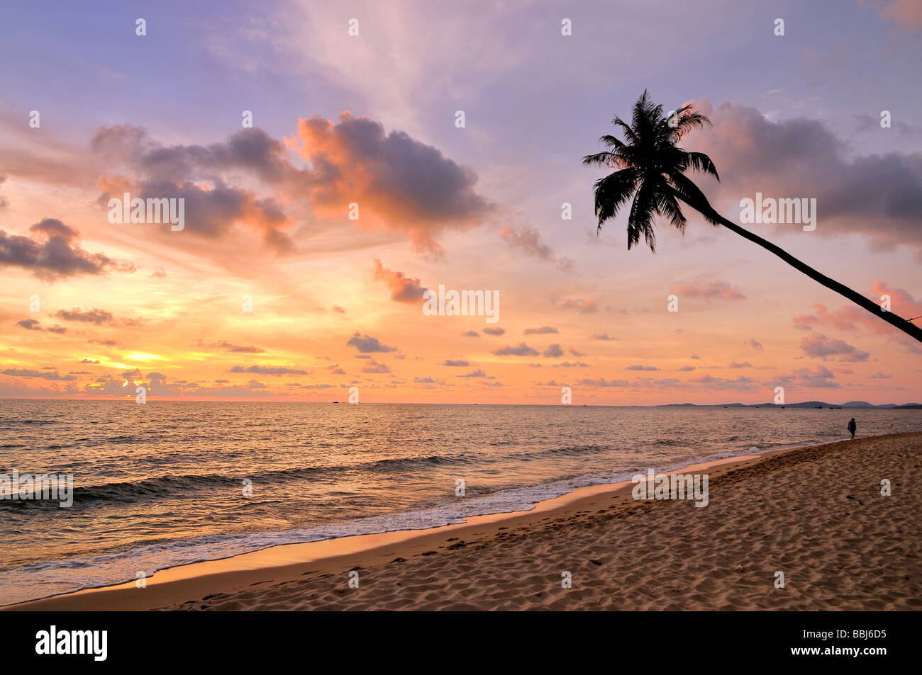 Palmier au coucher du soleil de l'atmosphère sur la plage, mer, Phu Quoc, Vietnam, Asie Banque D'Images