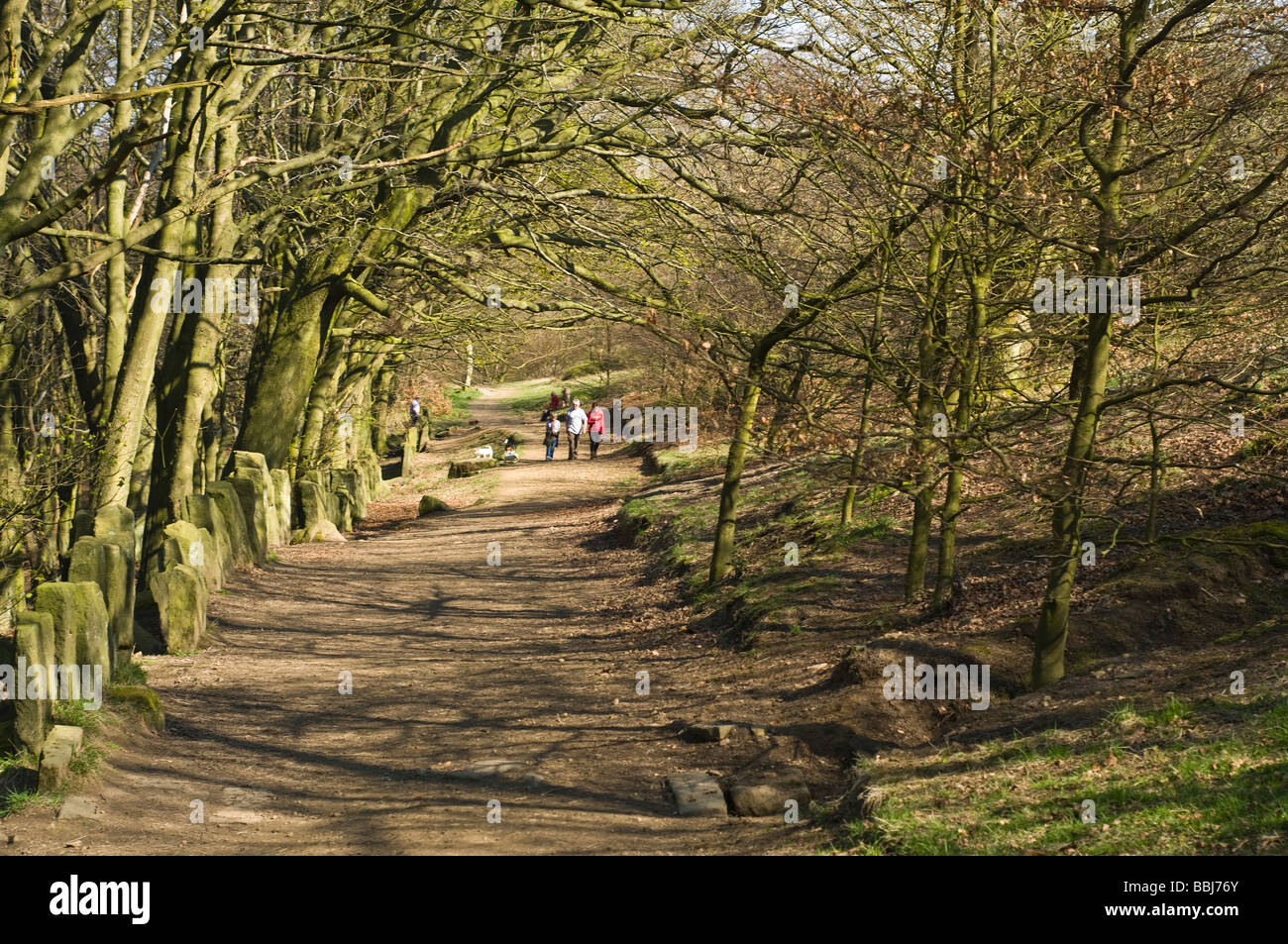 Le parc forestier de Chevin dh CHEVIN OUEST WEST YORKSHIRE Family walking chemin de piste sentier forestiers à pied otley Banque D'Images