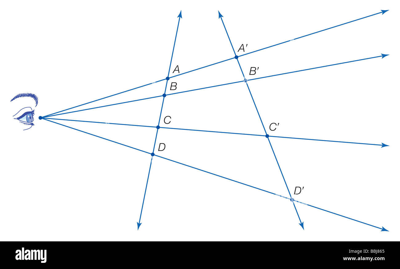 Bien que les distances et les ratios de distances ne sont pas, la croix, le ratio défini comme AC/BC · BD/AD, est conservé dans le cadre de projection. Banque D'Images