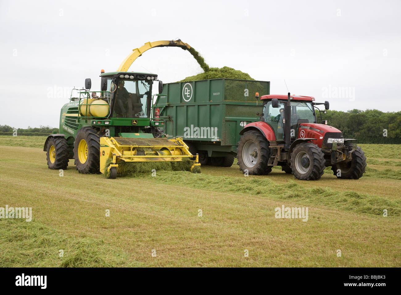 Ensileuse John Deere ensilage récolte pour nourrir les vaches laitières dans l'hiver Banque D'Images