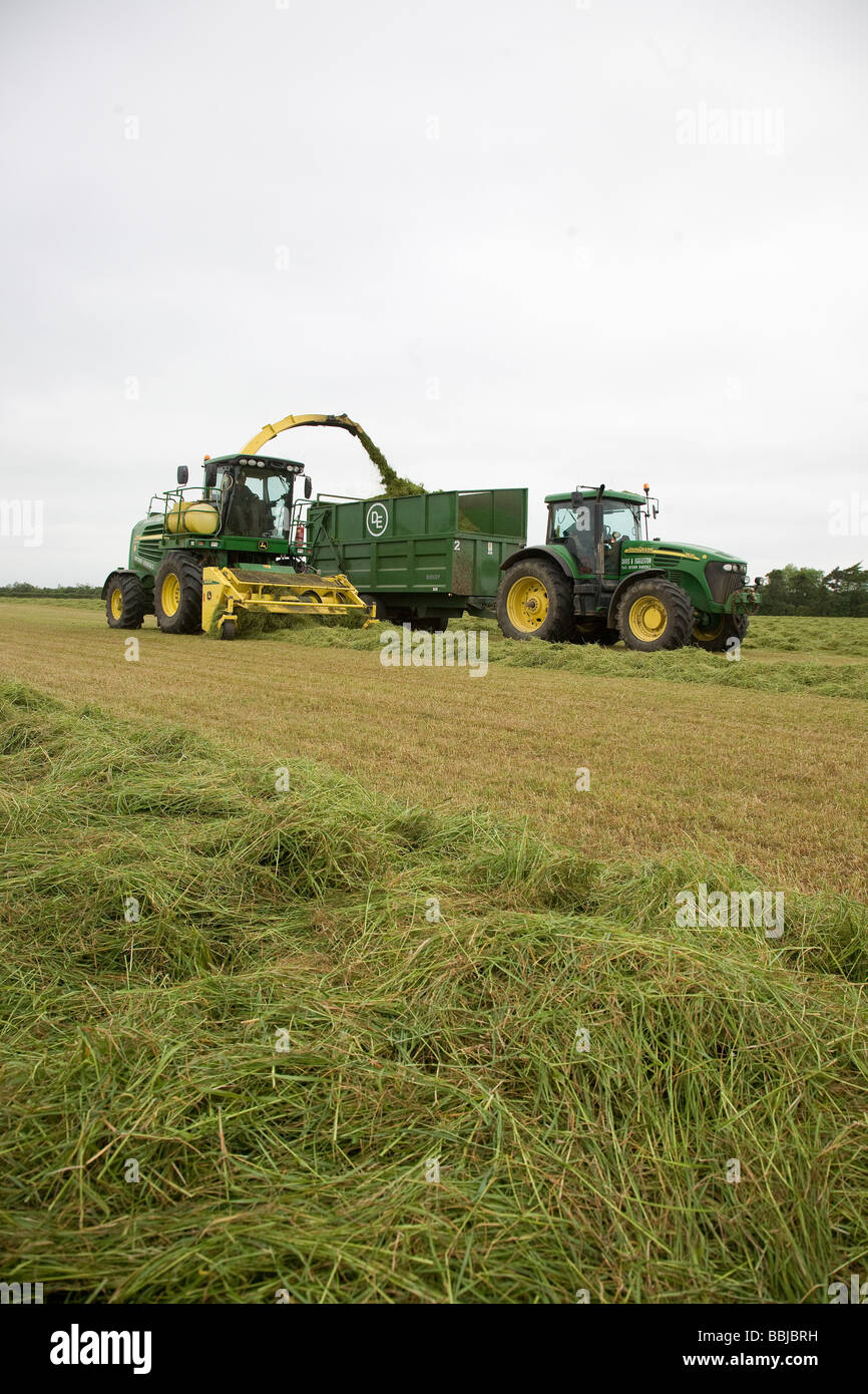 Ensileuse John Deere ensilage récolte pour nourrir les vaches laitières dans l'hiver Banque D'Images