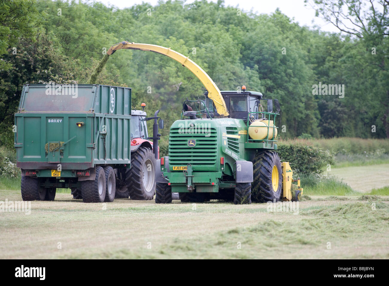 Ensileuse John Deere ensilage récolte pour nourrir les vaches laitières dans l'hiver Banque D'Images
