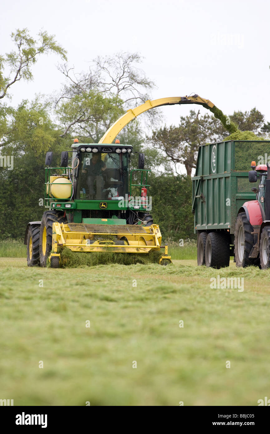 Ensileuse John Deere ensilage récolte pour nourrir les vaches laitières dans l'hiver Banque D'Images