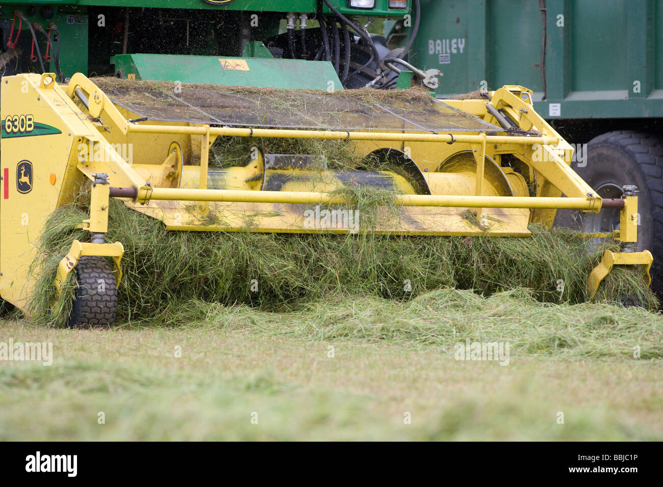 Ensileuse John Deere ensilage récolte pour nourrir les vaches laitières dans l'hiver Banque D'Images