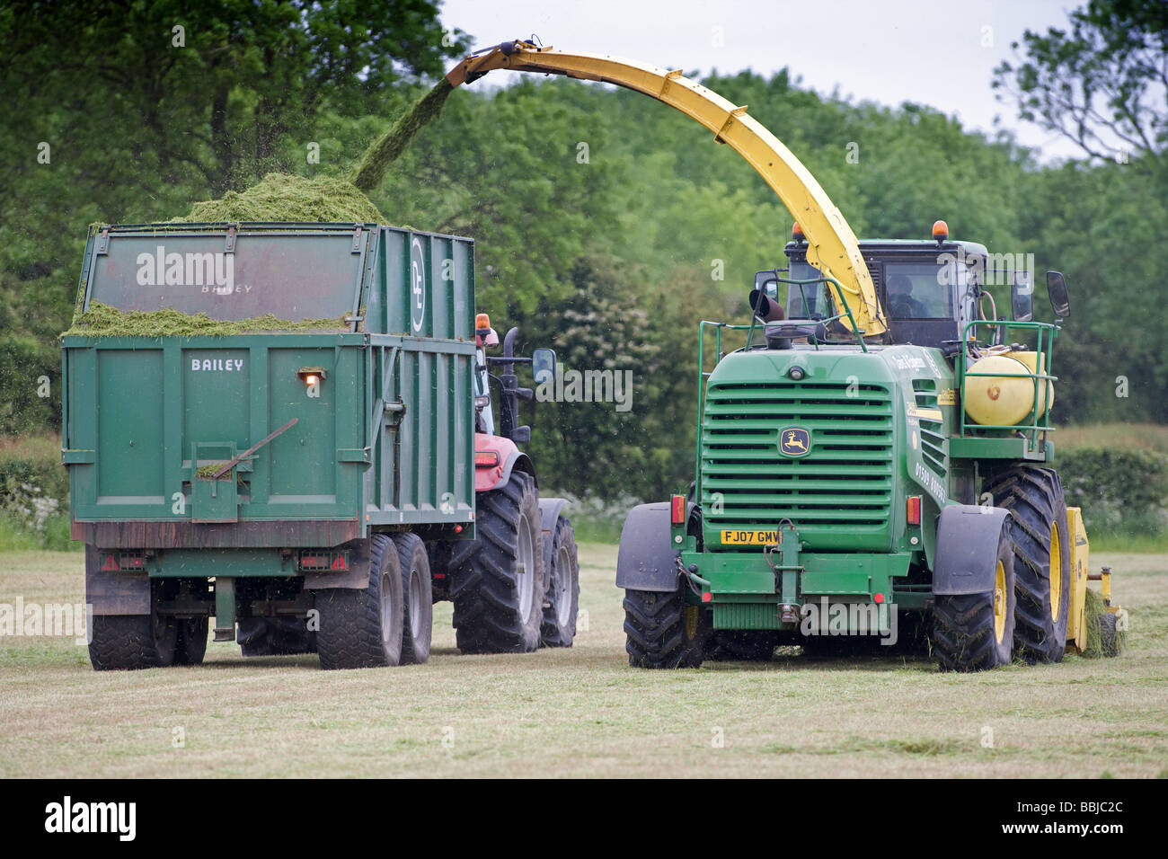 Ensileuse John Deere ensilage récolte pour nourrir les vaches laitières dans l'hiver Banque D'Images