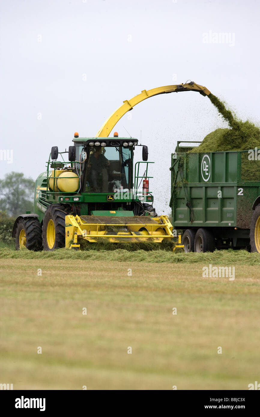 Ensileuse John Deere ensilage récolte pour nourrir les vaches laitières dans l'hiver Banque D'Images