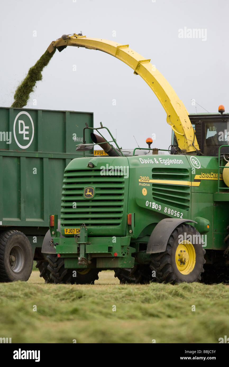 Ensileuse John Deere ensilage récolte pour nourrir les vaches laitières dans l'hiver Banque D'Images