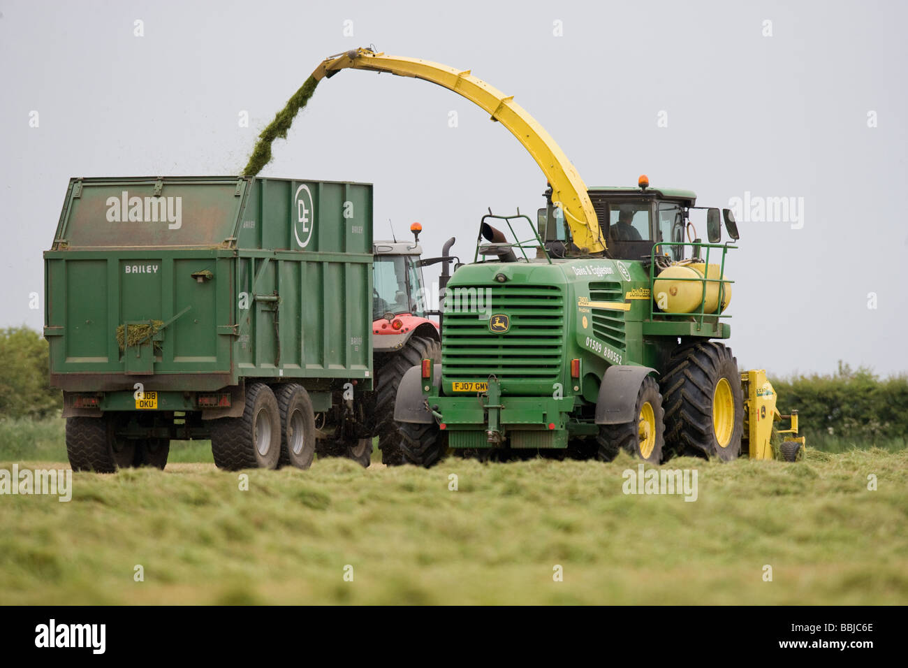 Ensileuse John Deere ensilage récolte pour nourrir les vaches laitières dans l'hiver Banque D'Images