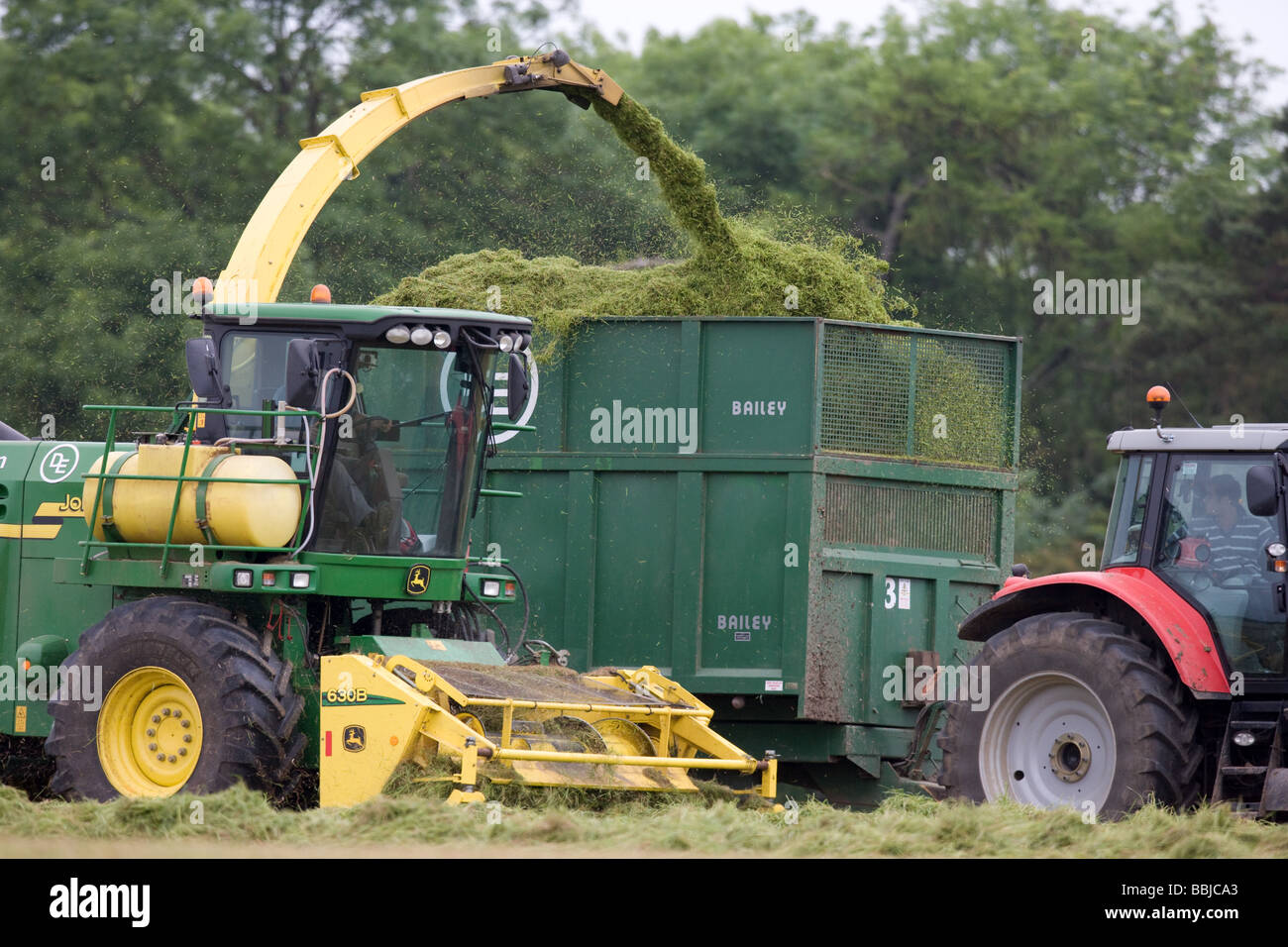 Ensileuse John Deere ensilage récolte pour nourrir les vaches laitières dans l'hiver Banque D'Images