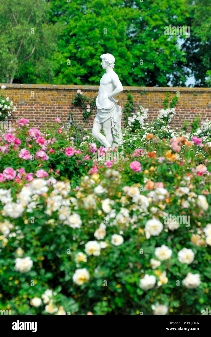 English Rose Garden avec statues classiques Banque D'Images