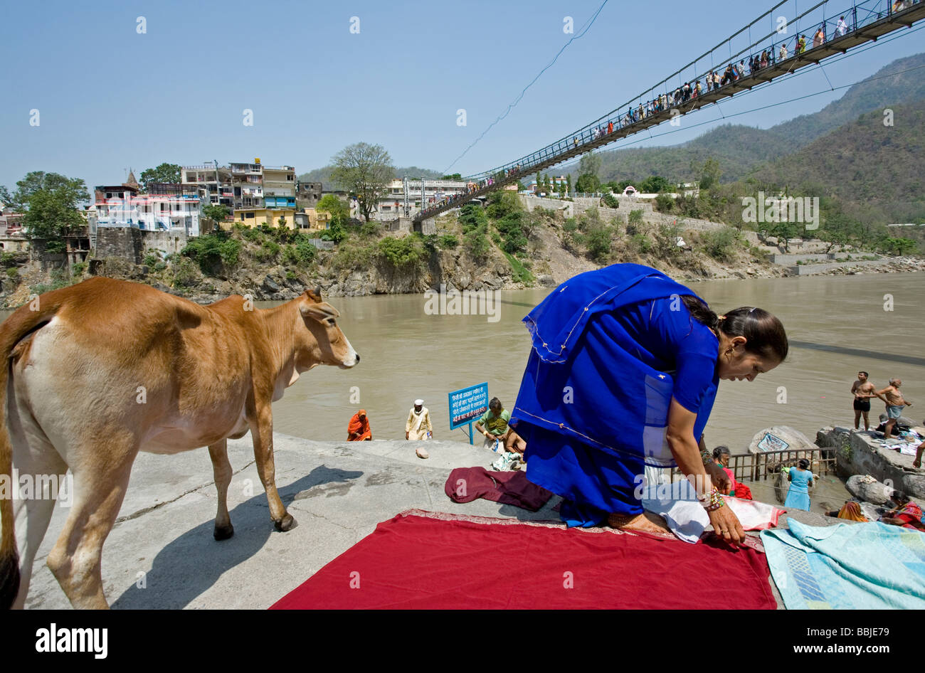 Le séchage. blanchisserie Femme Gange. Lakshman Jhula. Rishikesh. Uttarakhand. L'Inde Banque D'Images