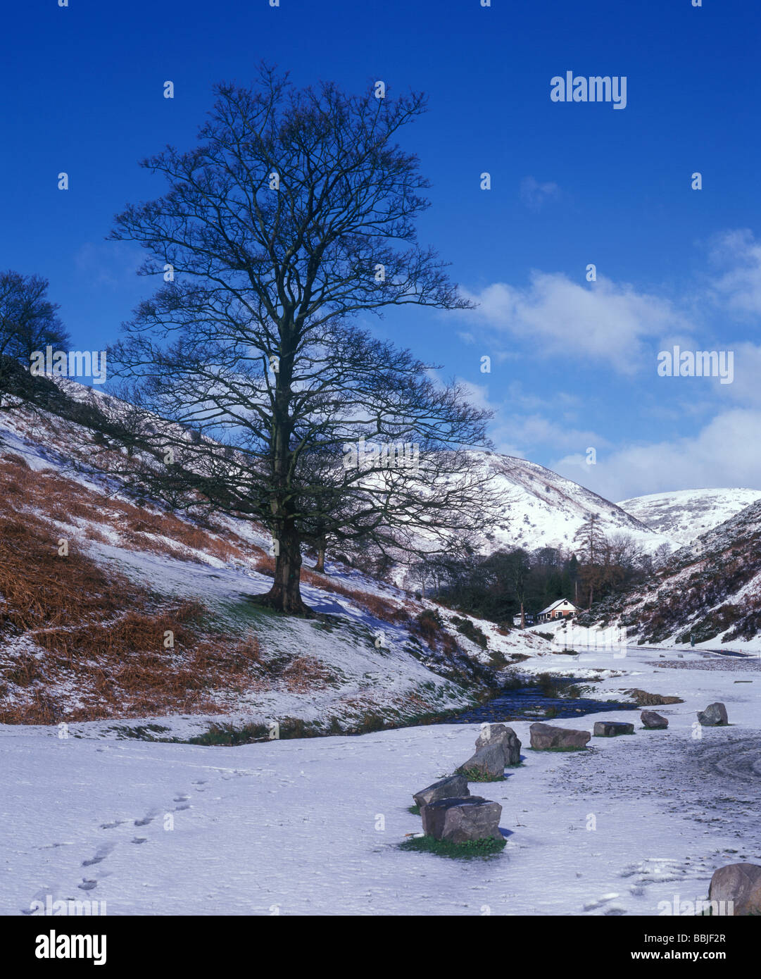 Cardingmill Valley dans le Shropshire est recouverte de neige. Banque D'Images