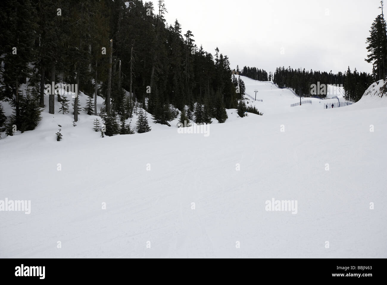 Dave Murray downhill run partie des jeux olympiques de 2010 Whistler British Columbia Canada Banque D'Images